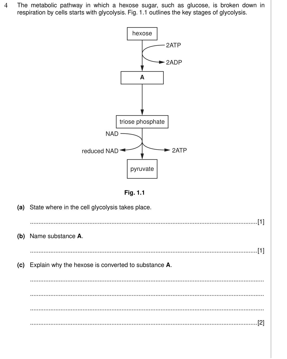 RS-T02-Q4 原卷